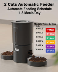 Miaosical dual bowls setup showing split feeding for two cats
