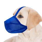 Miavers dog muzzle blue large front view shows breathable mesh for outdoor comfort