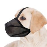 Miavers mordaza para perro malla suave: comodidad en paseos.