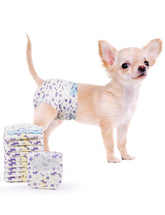 MICOOYO disposable dog diapers XS pack for small dogs and puppies.