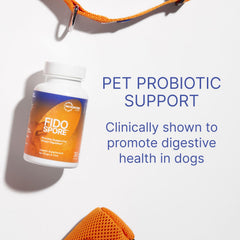 Microbiome Labs Fidospore dog capsules on a spoon for easy daily dosing.