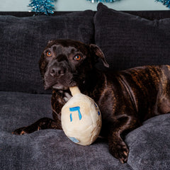 Midlee Dreidel Hanukkah dog toy features tan fabric and blue Hebrew lettering.