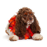 Midlee turkey decorative dog collar large tulle detail enhances holiday style.