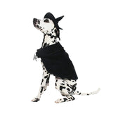 Midlee Witch Cape Hat Dog Costume XXL full outfit for Halloween dress-up