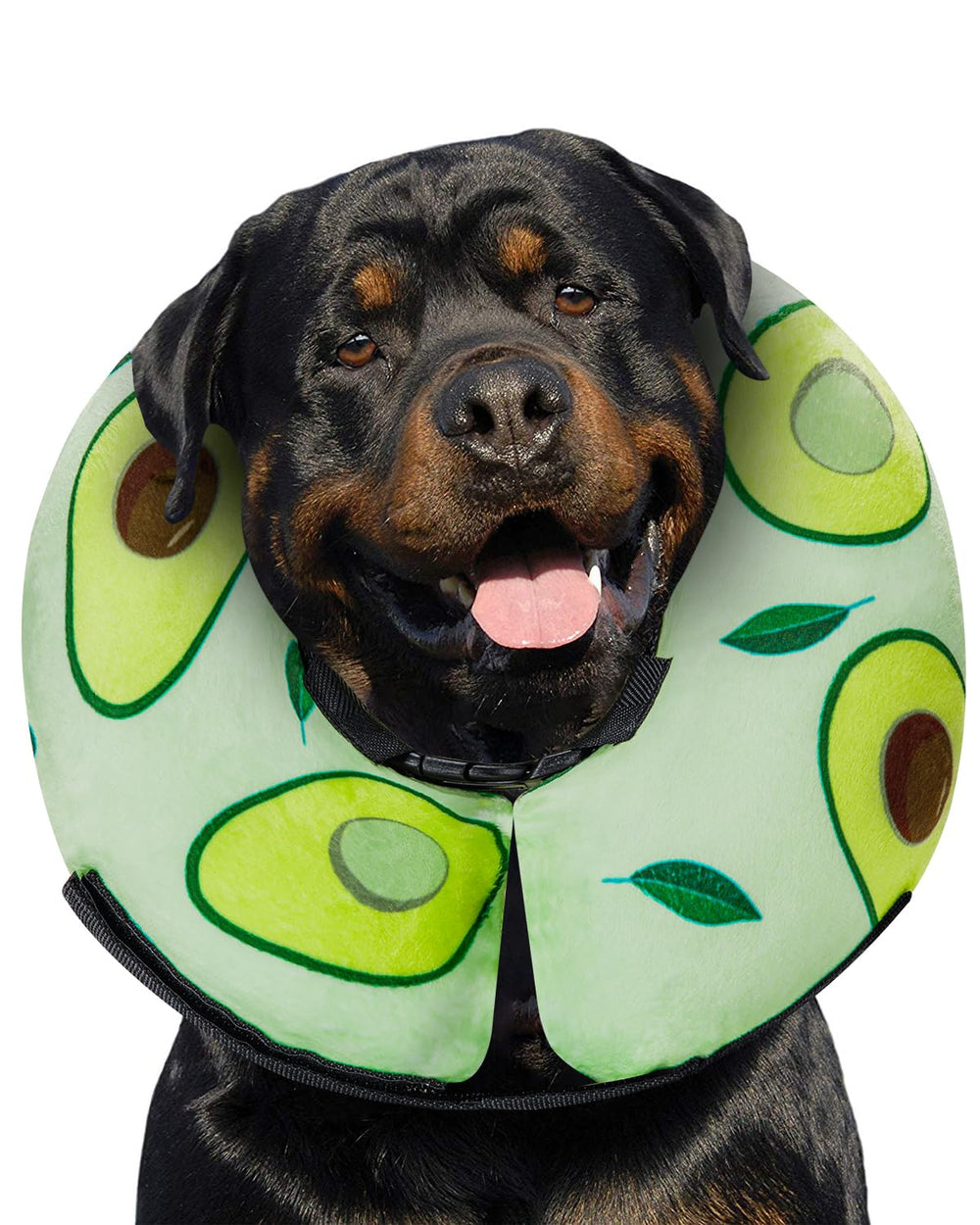 MIDOG avocado donut cone inflated for soft protection during recovery.
