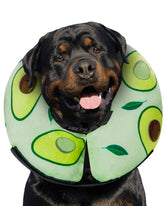 MIDOG avocado donut cone inflated for soft protection during recovery.