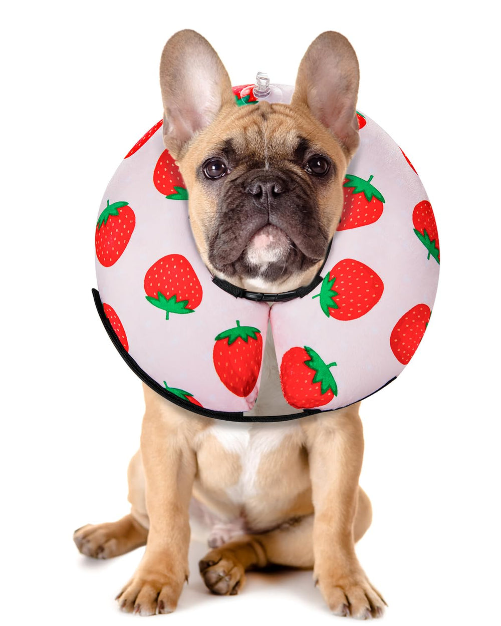 MIDOG inflatable donut cone main image showing a soft barrier