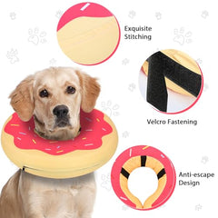 MIDOG donut cone red worn-on-dog shows soft interior comfort for post-surgery healing.