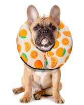 MIDOG inflatable donut collar orange closeup highlights soft fabric for gentle post-surgery comfort.
