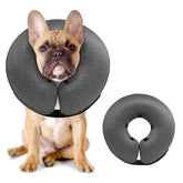 MIDOG inflatable donut cone worn by a dog offering soft protection after surgery.