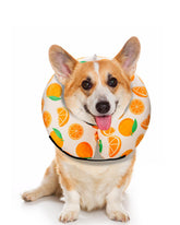 MIDOG inflatable donut cone front view showing soft protection for wounds