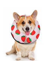MIDOG inflatable donut cone left view with breathable protection