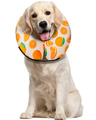 MIDOG inflatable donut cone orange closeup shows a soft protective barrier for post-surgery care