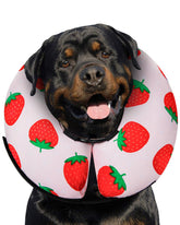 MIDOG inflatable donut cone strawberry-xl side view shows soft protection for post-surgery recovery