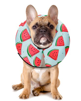 MIDOG inflatable dog cone watermelon color supports gentle recovery without restricting vision.