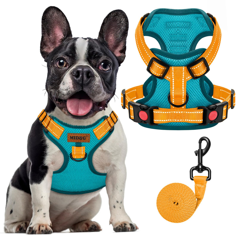 MIDOG no-pull harness blue front clip improves control during walks and training.