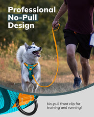 MIDOG reflective-straps enhance nighttime visibility for safer evening walks.