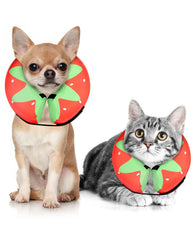 MIDOG soft inflatable donut e-collar on a dog, strawberry XS, helps prevent licking