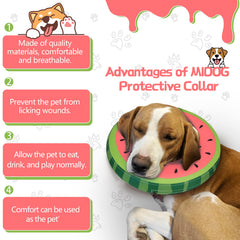 MIDOG soft inflatable donut e-collar on dog demonstrates secure fit and easy breathing