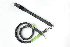 Mighty Paw bungee leash stretch length shows flexible reach for walks.