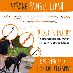 Mighty Paw bungee waist leash elastic shown for comfortable runs