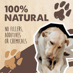 Mighty Paw cow ears USA-sourced grass-fed close-up showing quality chew for dogs