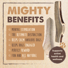 Mighty Paw dental-health elk antler chew supports teeth cleaning and gum massage during chewing.