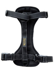 Mighty Paw dog car harness front attachment secures pets during car rides