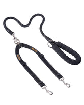 Mighty Paw double dog leash showcases the tangle-free swivel during a two-dog walk.