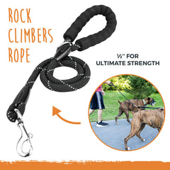 Mighty Paw double dog leash with two dogs walking for a stress-free outing.