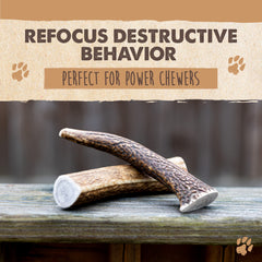 Mighty Paw elk antlers no-odor design shown for clean indoor chewing.