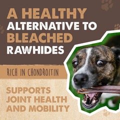 Mighty Paw grass-fed beef gullet sticks close-up highlighting protein-rich texture.