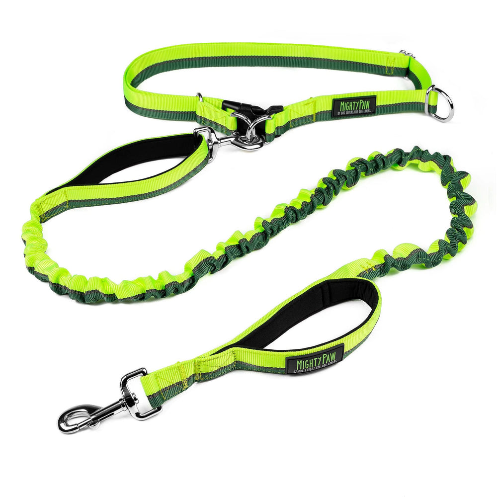 Mighty Paw hands-free leash belt walking image showing hands-free control