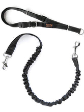 Mighty Paw Hands Free Dog Leash belt enables hands-free walking for busy city sidewalks.