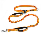 Mighty Paw hands-free dog leash clip for secure hands-free control during walks