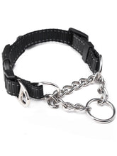 Mighty Paw martingale collar buckle closeup highlights durable hardware for gentle no-pull training.