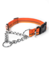 Mighty Paw Martingale Collar with stainless-steel chain for durable training cues.
