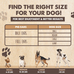 Mighty Paw Pig Ears Dog Chew Action — stress-relief snack during playtime.