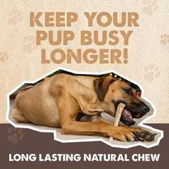 Mighty Paw Split Elk Antlers designed for large dogs, durable and satisfying.