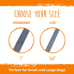 Mighty Paw tangle-free design prevents leash tangles when walking two dogs together.