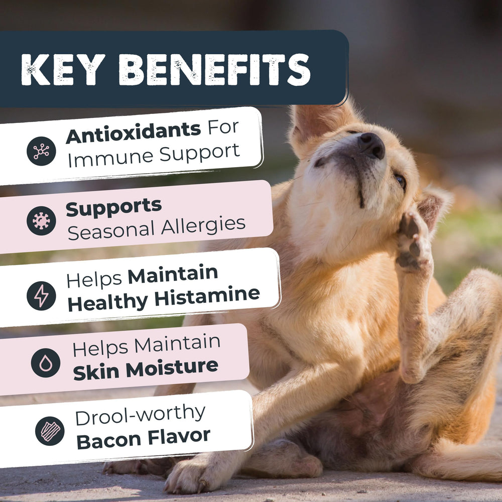 Mighty Paw Waggables bacon-flavor-treat-closeup highlights tasty chew dogs readily accept for allergy support.