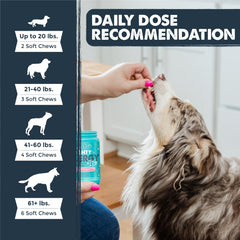 Mighty Paw Waggables dog-treat-dispense-shot demonstrates easy daily administration.
