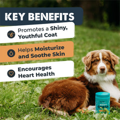 Mighty Paw Mighty Omega soft chews closeup highlighting tasty bacon flavor for easier administration.