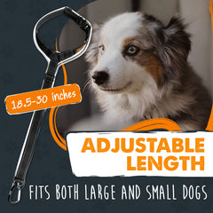Mighty Paw aviation-grade aluminum carabiner provides strong, reliable restraint with a smooth swivel.