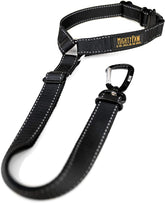 Mighty Paw dog seatbelt headrest attachment keeps your pup secure during car rides.
