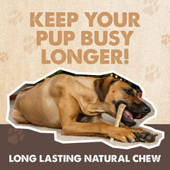 Mighty Paw elk antler dog dental health can aid cleaning teeth during chewing