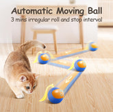 Migipaws cat ball with fluffy tail attachment enhances interactive play and curiosity.