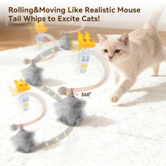 Migipaws MigiMouse with a wiggling tail in action for chasing