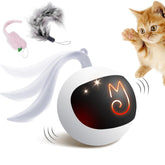 Migipaws Pelota interactiva para gatos rodando, estimula el juego activo y la curiosidad