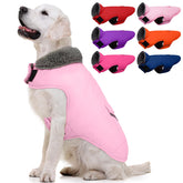 Migohi warm dog snowsuit front view with snug windproof protection
